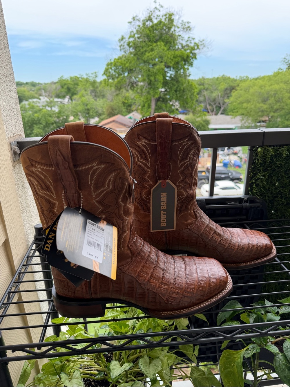 Dan Post Boots